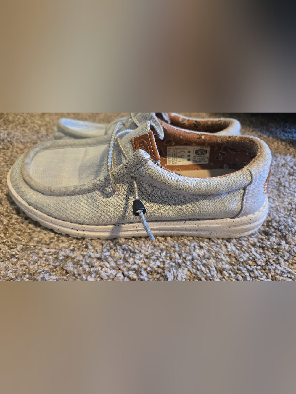 Big Kid Hey Dude Casual Canvas Slip-On Shoes in Light Gray